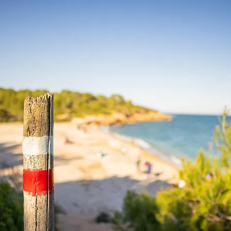 Ametlla L'Ametlla de Mar